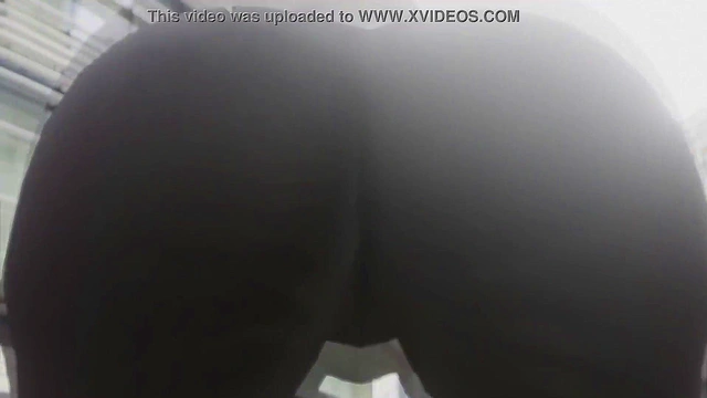 Hentai bitches shaking their ass