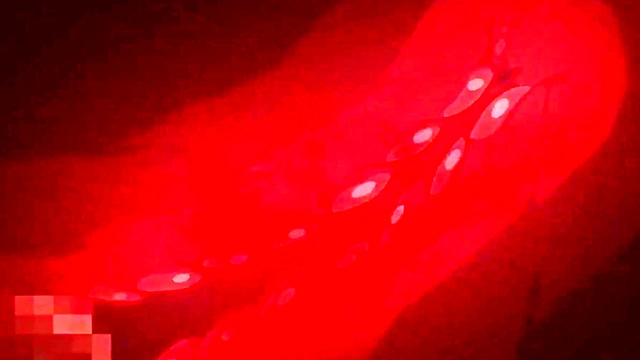 Hentai Compilation'Teach me