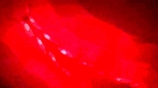 Sakura haruno Hentai