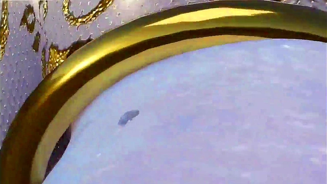 JOI hentai French with widowmaker in Overwatch