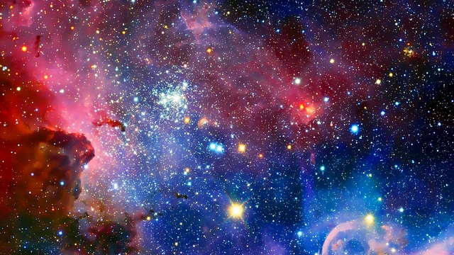 BBC finds out that his new mistress loves sucking his dick