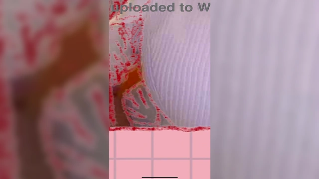 Drawing Beautiful Asian MILF with Hachura at Sketchbook i OS