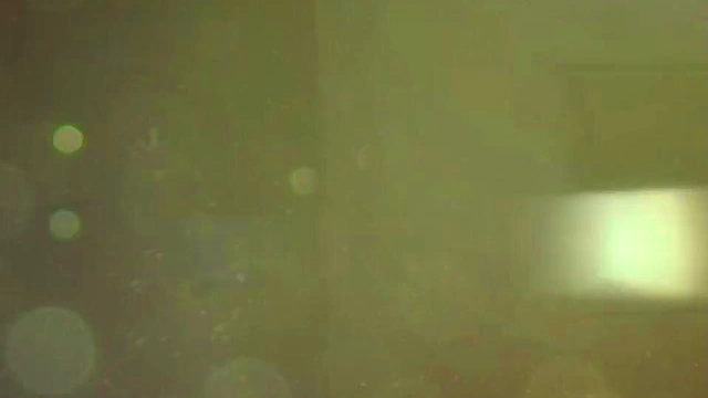 Amazing Hentai Animation