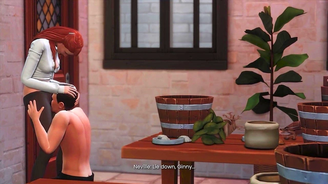 HP AU 11 - 3D Hentai - Preview Version