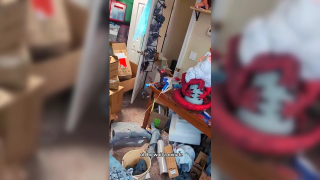 Taking xvid for a joy ride