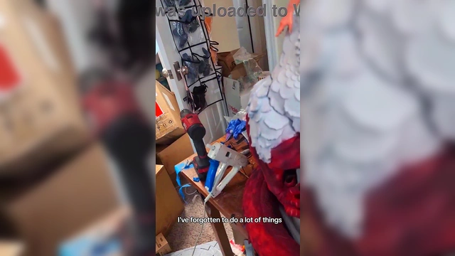 Taking xvid for a joy ride