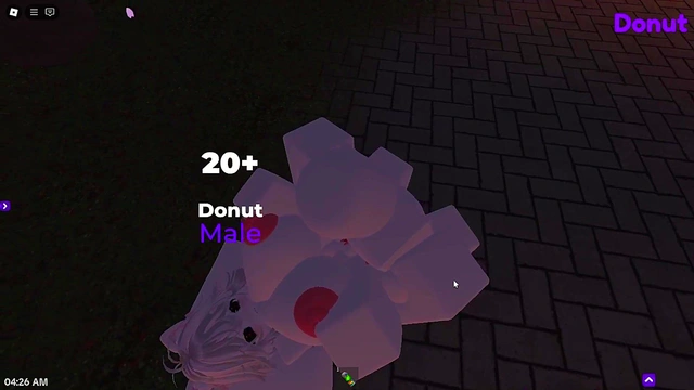 (Roblox) Fucking a girl in the park