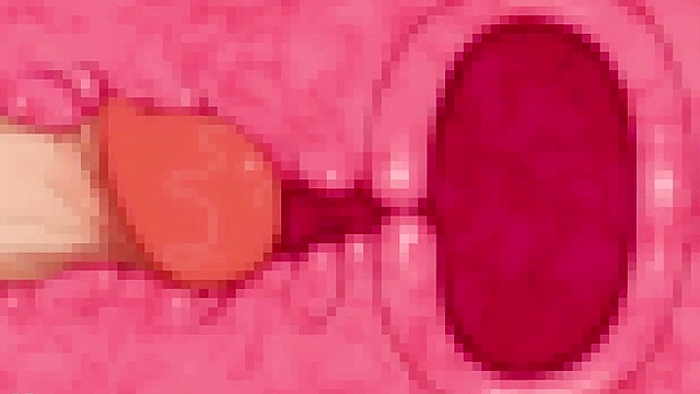 Anime Blowjob Compilation – Hot Scenes from Hentai Classics Part 3