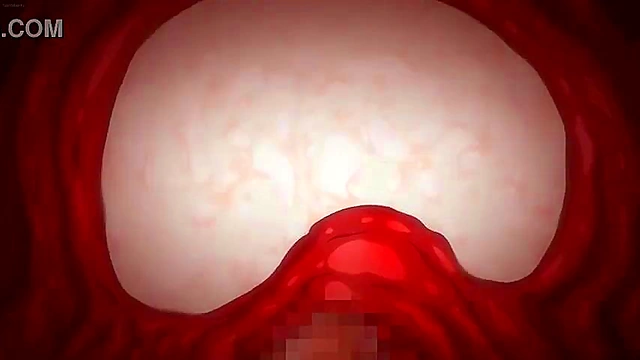 School Coach Gets Multiple Creampies (Hentai Animation)