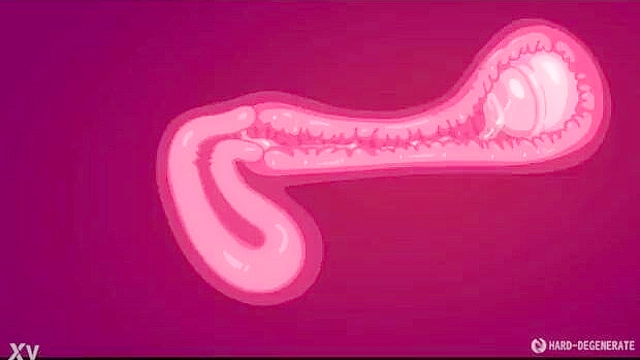 Anime hentai scenes discovered online for adults to explore privately