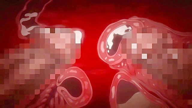 Anime world of pleasure featuring explicit hentai scenes for adults