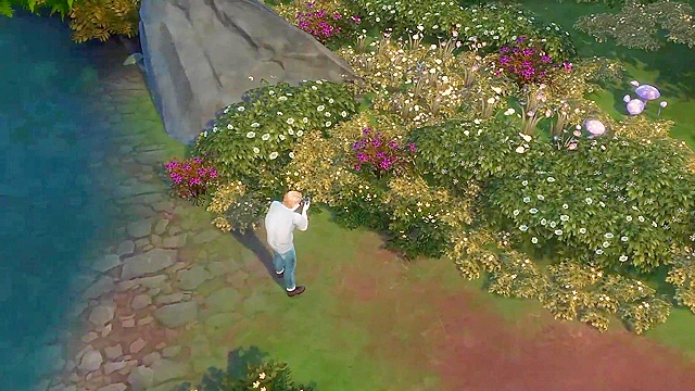 Wild Capture Adventure - Forbidden Lusts Unleashed In The Jungle Fantasy