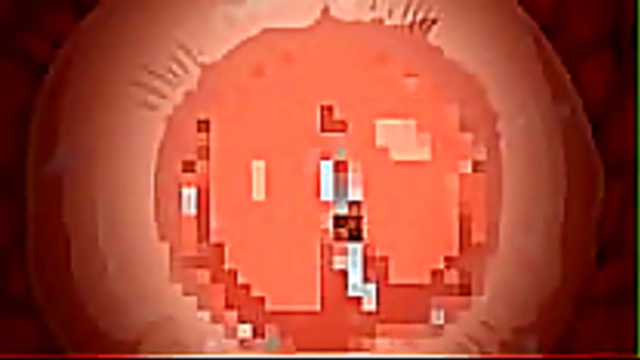 Seductive Anime Babe Tempts Him With Beachside Blowjob And Creampie Delight