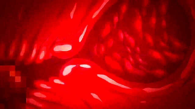 Intense Hentai Sex Scenes Compilation - Graphic Couples Pleasure Feasts