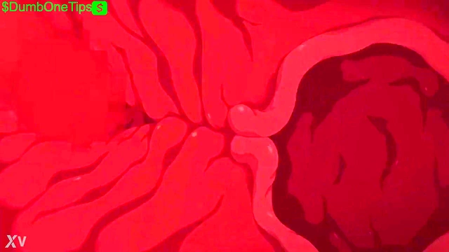 Anime Sex Compilation Cocksuckers & Anal Handjob for Facial Cumshots