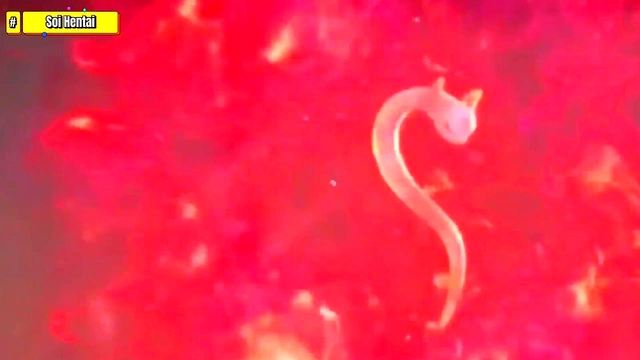 Cute Anime Babe Gets Hardcore Anal & Big Dick Creampie In 3D