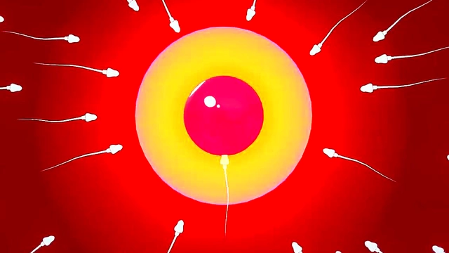 Weiss Gets Breeding Sex With Small Tits & Creampie In Hot RWBY Hentai Scene