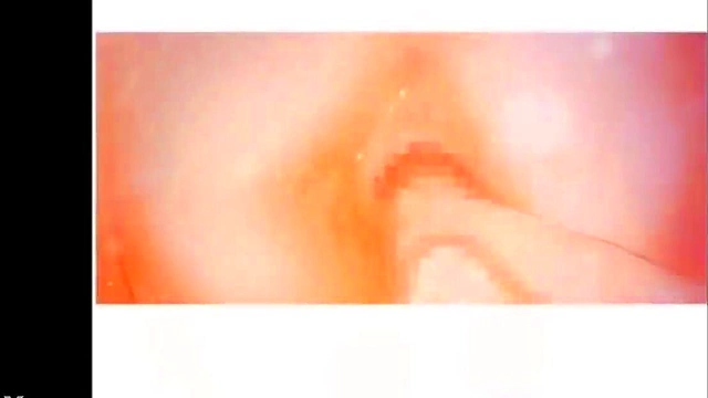 Anime Duo Eroge Tinklebell Rondo Blowjob & Creampie Orgy