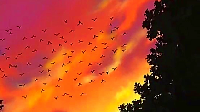 Retro Anime Masquerade Couples Engage in Explicit Sexual Fantasies Nightly Ritual