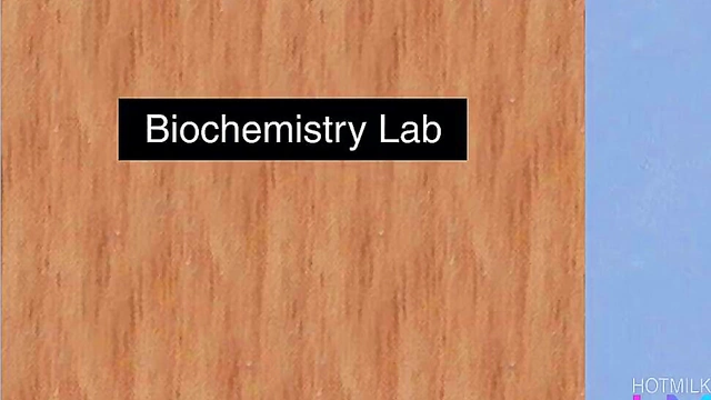 Sexy Tatsumaki Wears Tight Stockings for Hot Uncensored Anime Fuck Fest