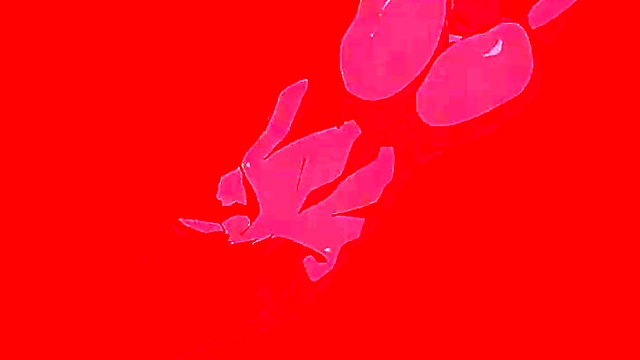 Asian MILF Gets Big-Ass Filled Doggy Style for Tasty Anal Sex Feast