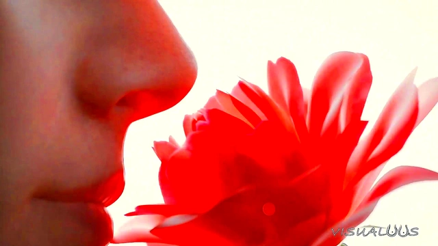 Hentai Babe Lucie Sucks Big Dick & Gets Fucked Hard For Massive Cumshots