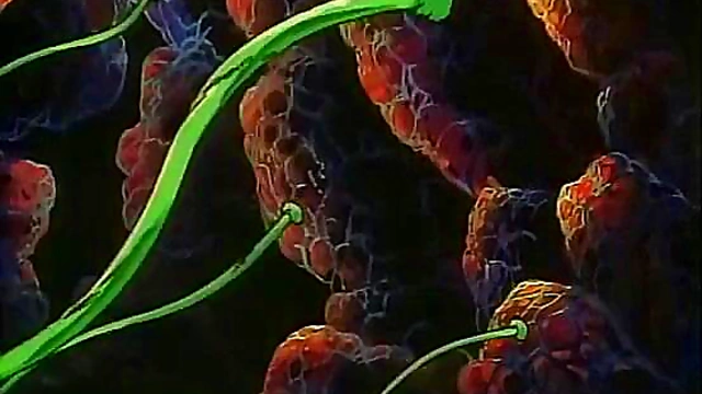 Yoichi's Russian Voice Guide in Anime Game Hot Scene at Friend’s Camp