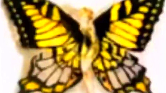 Hot Anime Babe Lisinetta Gets Fucked Hard for Juicy Eroge Action!